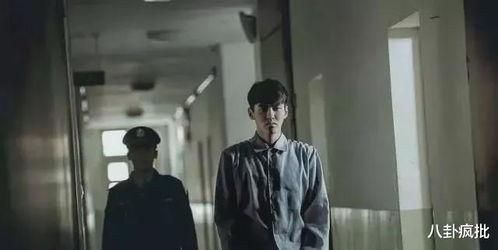 吃瓜娱乐圈疯子,揭秘“吃瓜疯子”背后的疯狂故事